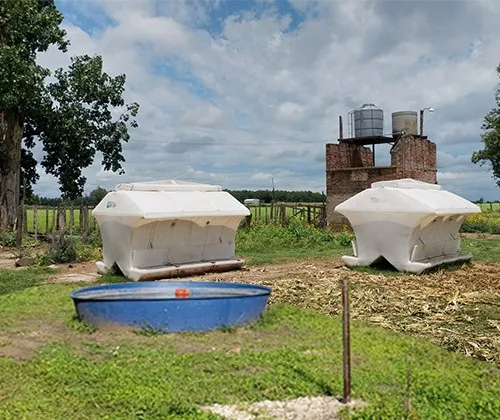 Bebederos - Comederos de plástico - Rotor Tanques